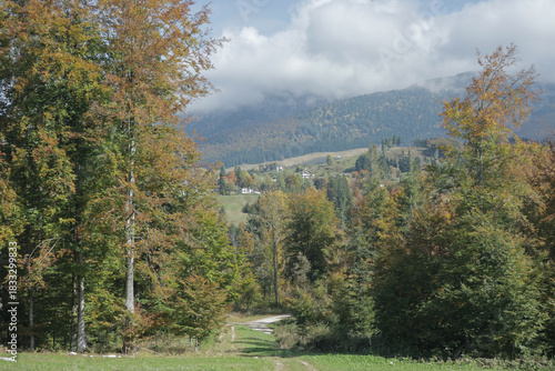 peacefull place among the Cansiglio broadleaf woods in autumn
