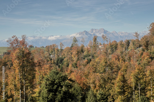 peacefull place among the Cansiglio broadleaf woods in autumn