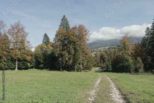 peacefull place among the Cansiglio broadleaf woods in autumn