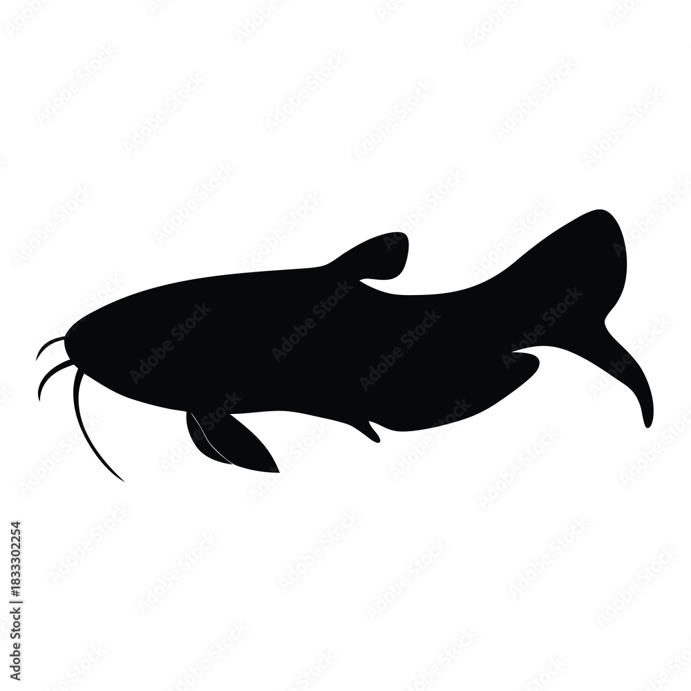 Fototapeta premium Detailed Silhouette of a Catfish Fish in Black and White Style