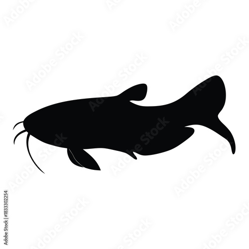 Detailed Silhouette of a Catfish Fish in Black and White Style