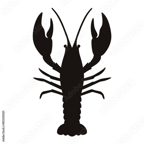 Black silhouette of a spiny lobster on a white background illustration