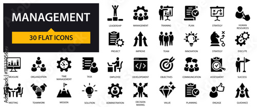 Management icons set. Leadership, Strategy, Teamwork, Planning, Objectives and others.