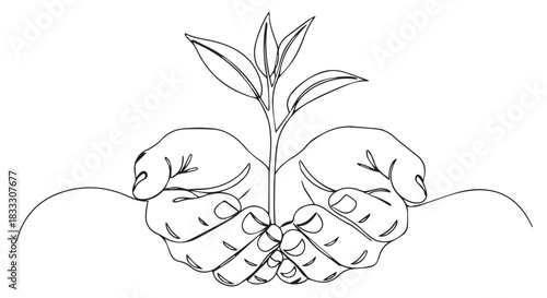 Single Line Drawing of Hands Holding a Sprout, Representing Growth, Nurturing, Sustainability, and New Beginnings in Clean Minimalist Style