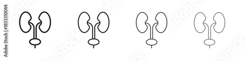 Urology icons collection web design, minimal line style