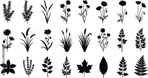 Collection of diverse botanical silhouettes wildflowers leaves and grassy plants