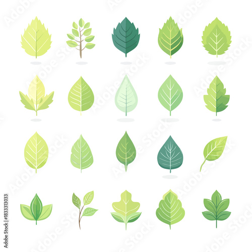 Collection of stylized green leaves in various shapes for design and decoration
