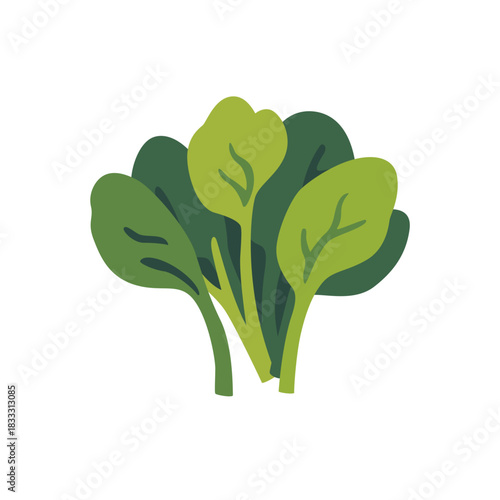 Fresh mustard greens leafy cabbage vegetable, isolated flat style vector illustration