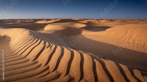 Fototapeta Naklejka Na Ścianę i Meble -  Golden sand dunes sculpted by wind create dramatic shadows under a clear blue sky in a vast desert landscape at sunset or sunrise