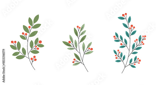 Set of three elegant botanical illustrations of branches with green leaves and small red berries, isolated on a clean white background for design.