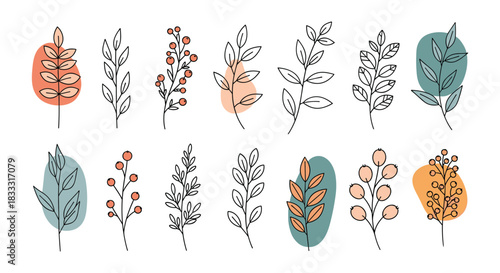 Collection of hand-drawn botanical branches and berries with abstract color shapes, in a trendy minimalist line art style.
