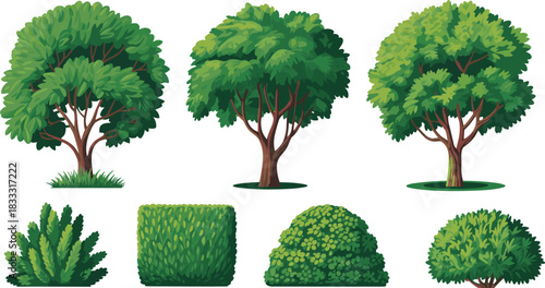 Stylized tree and shrub illustration set with varied shapes and foliage for landscaping, nature education, and design themes.