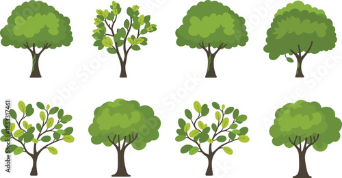 Stylized tree collection with varied trunk and foliage structures for botanical, environmental, and design-themed educational illustration use.