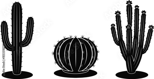 A monochrome illustration depicting three different types of desert cacti