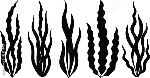 Stylized black and white illustration of flame like seaweed or underwater plants