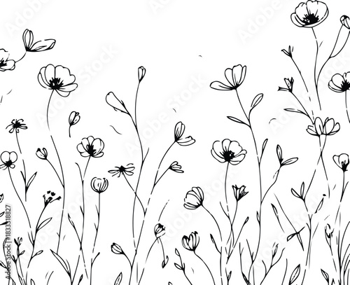 Minimal black line art wildflowers spreading across the background, soft flowing stems and petals, airy botanical layout, white background.