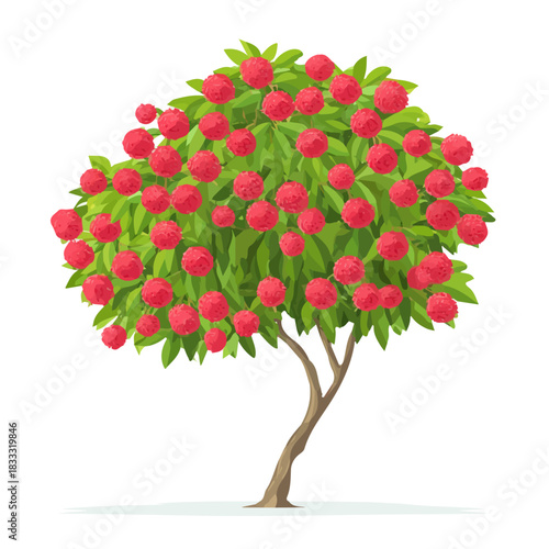 Lychee Tree in a clean 2D flat vector icon style, minimal and simple, set on a plain white background.