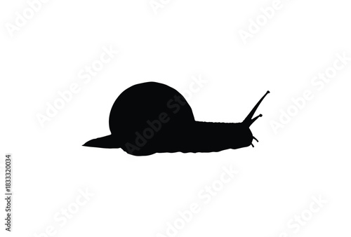 A simple black silhouette of a snail with its shell and antennae, isolated on a white background.