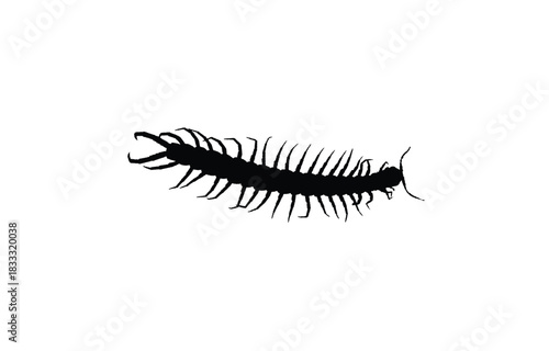A black silhouette of a centipede with many legs is shown against a white background.