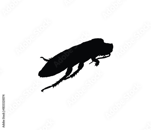 Silhouette of a cockroach, a common household pest, depicted in a black and white image.