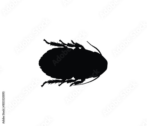 Silhouette of a small insect, likely a flea, depicted in black against a white background, showcasing its detailed form.