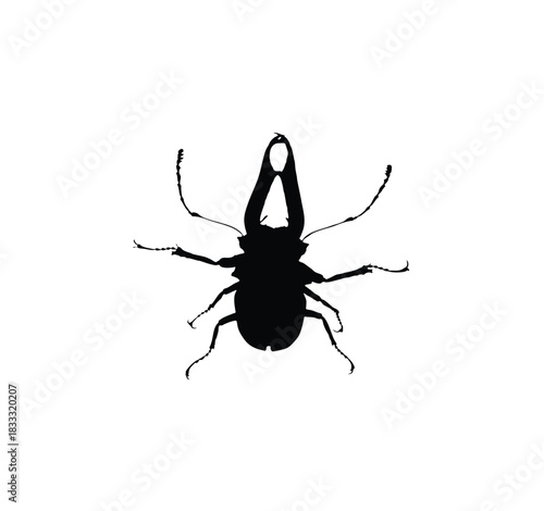 Black silhouette of a stag beetle with prominent mandibles on a white background.