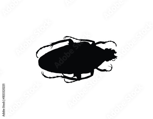 Silhouette of a beetle with visible legs and antennae against a white background.