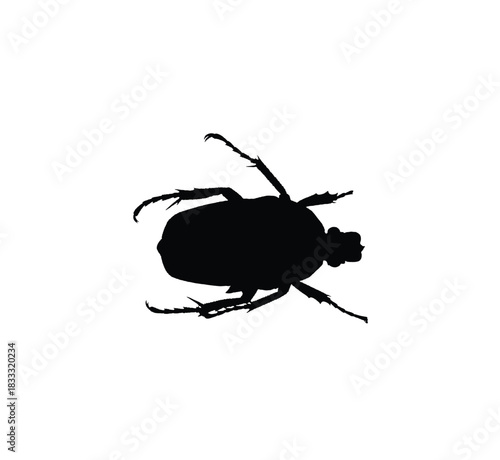 Black silhouette of a beetle insect with legs and antennae, isolated on a white background.