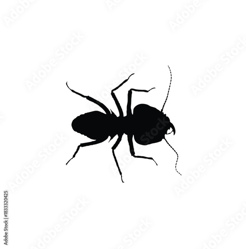 A black silhouette of an ant is displayed against a white background, showcasing its distinct body segments and antennae.
