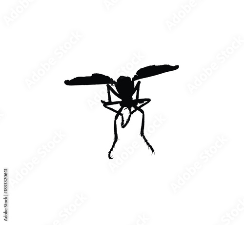 Black silhouette of a flying insect with prominent wings and legs on a white background.