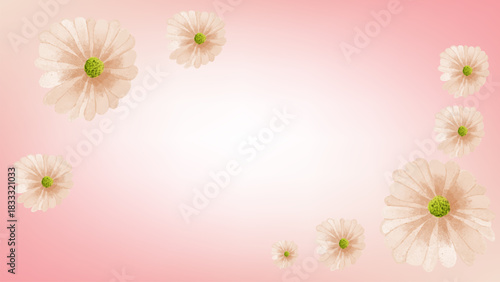 floral background with flowers