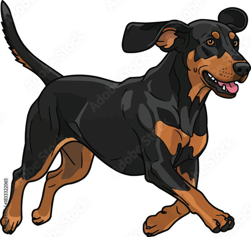 Hungarian Hound dog running energetic playful stance