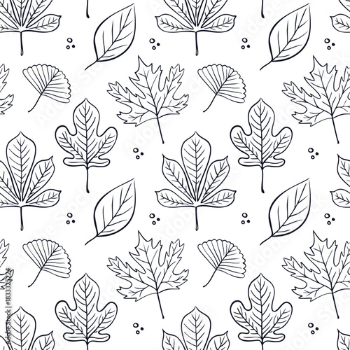 Seamless pattern of hand drawn autumn leaves. Maple, chestnut, ginkgo. Perfect as a background, fabric print, or coloring page design. Vector