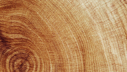 Fototapete Brennholz Textur Natural wooden background, close up wood annual rings form. Top view of cross section of juniper tree, graphic nature organic pattern. Sawed timber with tree ring print, natural textures banner  © yrabota