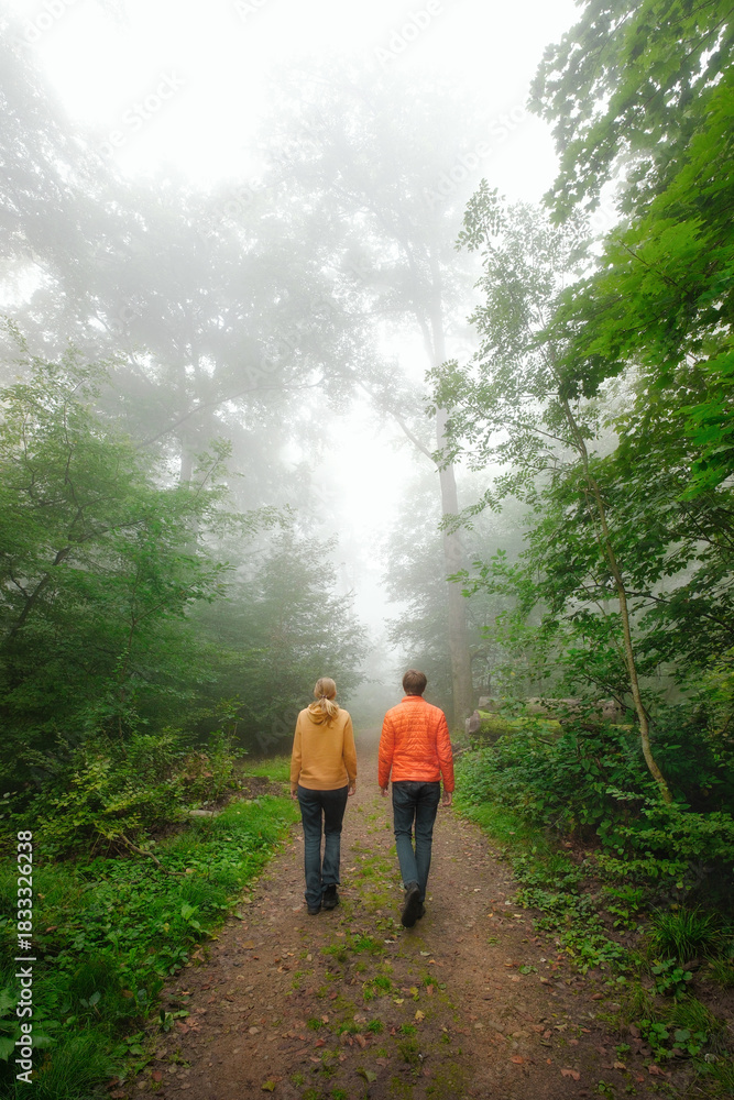 Naklejka premium Man and woman walking on a path in the woods in foggy weather, vertical format
