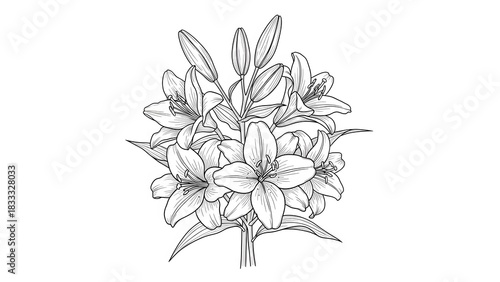 Elegant Lily Flower Bouquet Illustration on White Background