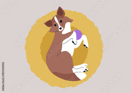 Adorable Sheltie puppy playfully curled in a soft, round bed under warm sunlight, creating a delightful scene of warmth and companionship