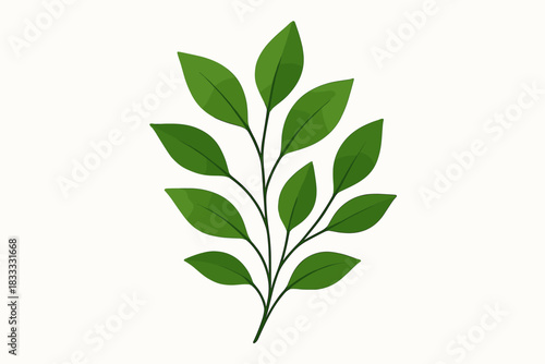 Minimalist Greenery. Minimalist botanical arrangement of fresh green leaves placed vector illustration on a clean white background
