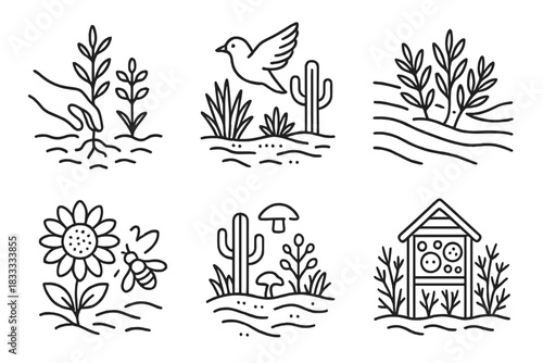 Desert Ecosystem Revival Icons. Line style icons of desert ecosystem revival: native plant restoration, return of desert birds,