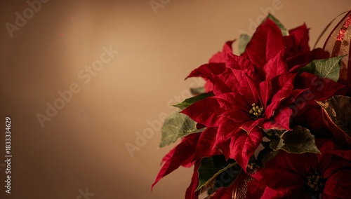 Bright Red Poinsettia Plant in a Decorative Arrangement Against a Warm Backgr...