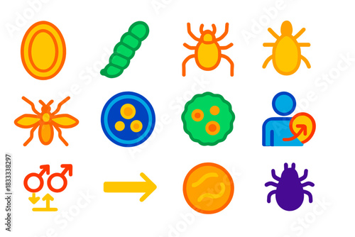 Parasite Life Cycle Icons. Flat vector icons of parasite life cycle elements: egg, larva, nymph, adult parasite, vector insect,