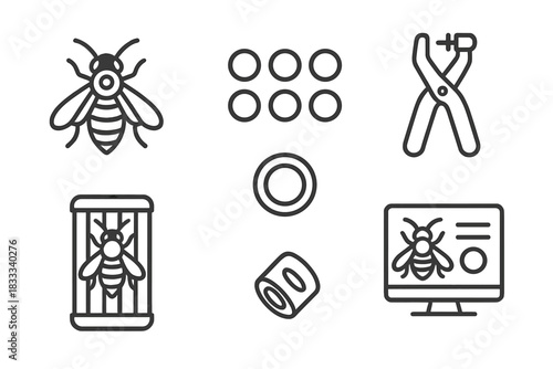 Bee Identification Icons. Line style icons of bee identification and tagging: queen bee marked icon, colored dot chart, tag