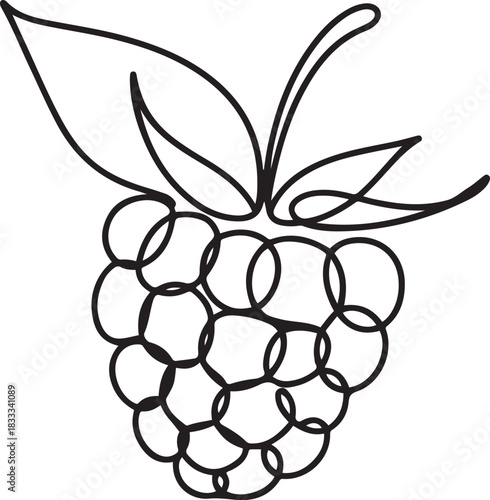 Single continuous line drawing whole healthy organic raspberry for orchard logo identity. Fresh berry fruitage concept for fruit garden icon. one line Icon drawing
