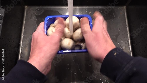 Stockholm, Sweden A man washes a plastic container with fresh store-bought mushrooms in a kitchen sink.  