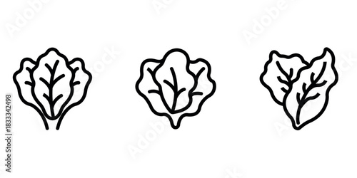 lettuce outline or line icon design bundle.