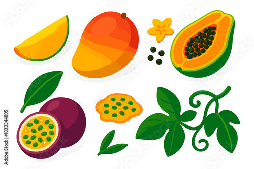 Tropical Fruit Icons. Isometric vector illustration set Tropical fruits – mango slice, whole mango, mango leaf; papaya half,