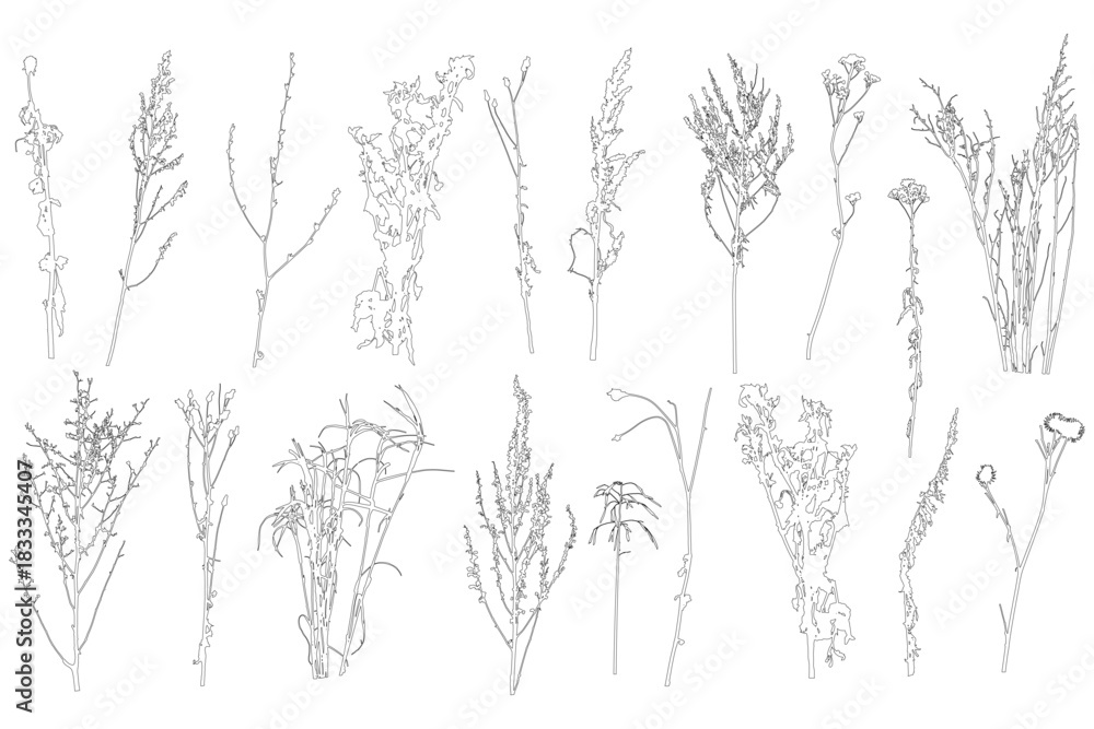 Naklejka premium Set of contours different plants and weeds. Vector illustration.