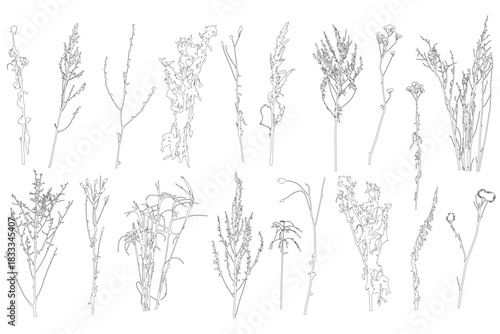 Set of contours different plants and weeds. Vector illustration.