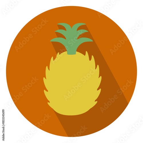 Pineapple sliced circle icon