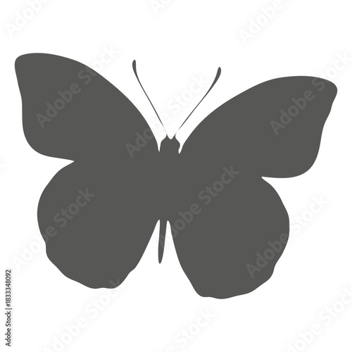 Butterfly silhouette icon